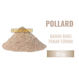 Image Pollard---Sapibagus---Ruminansia.jpg